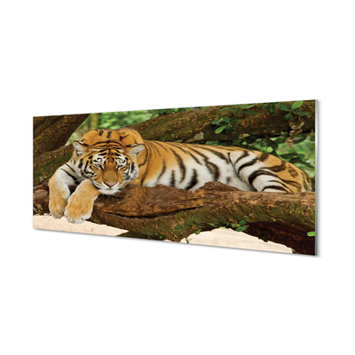 Obraz na skle tiger tree