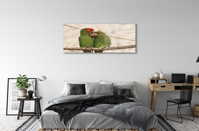 Obraz na skle zelené papoušci