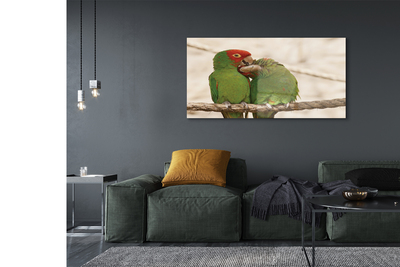 Obraz na skle zelené papoušci