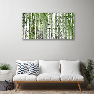 Obraz na skle Bříza Les Stromy Příroda