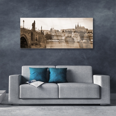 Obraz na skle Praha Most Krajina
