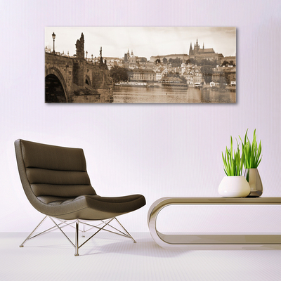 Obraz na skle Praha Most Krajina