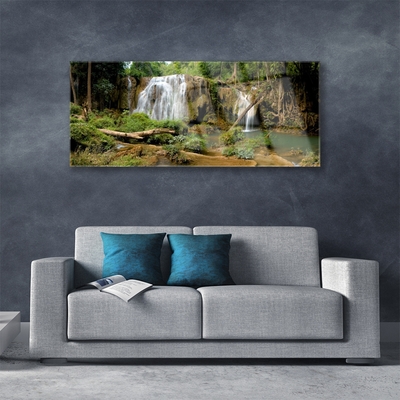 Obraz na skle Vodopád Řeka Les Příroda