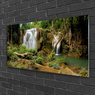 Obraz na skle Vodopád Řeka Les Příroda