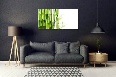 Obraz na skle Bambus Rostlina
