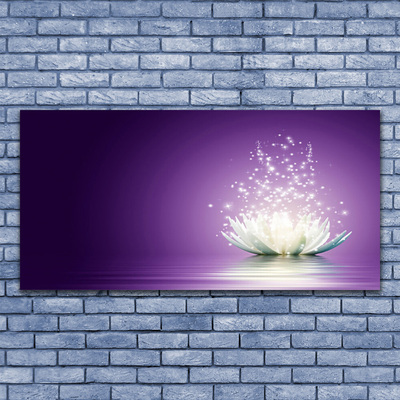 Obraz na skle Květ Lotosu