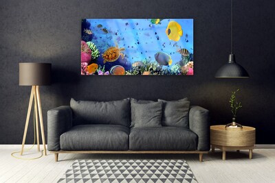 Obraz na skle Korálový Útes Ryba Příroda