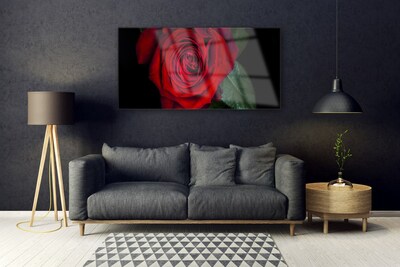 Obraz na skle Růže