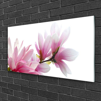 Obraz na skle Magnolie Květ