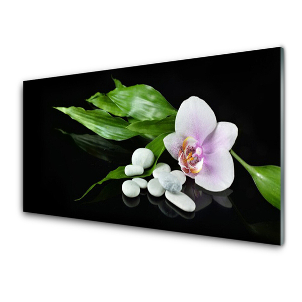 Obraz na skle Květ Kameny Listí