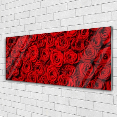 Obraz na skle Růže