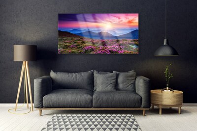 Obraz na skle Hora Louka Květiny Krajina