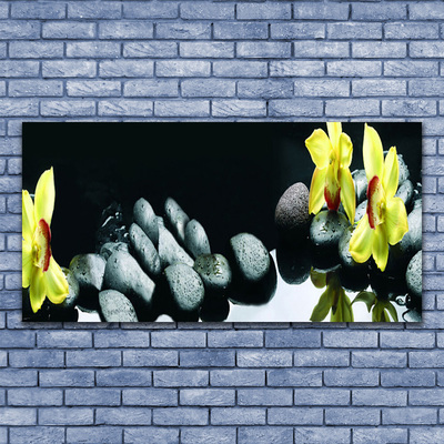 Obraz na skle Květ Kameny