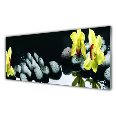 Obraz na skle Květ Kameny