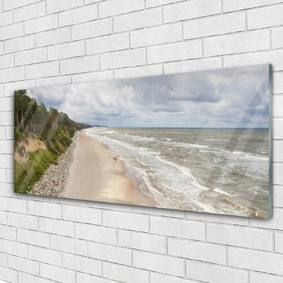 Obraz na skle Pláž Moře Strom Příroda