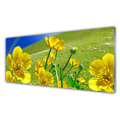 Obraz na skle Louka Květiny Duha Příroda