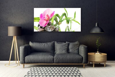 Obraz na skle Květ Rostlina Příroda