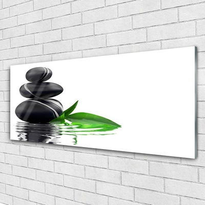 Obraz na skle Kameny Listy Voda Umění