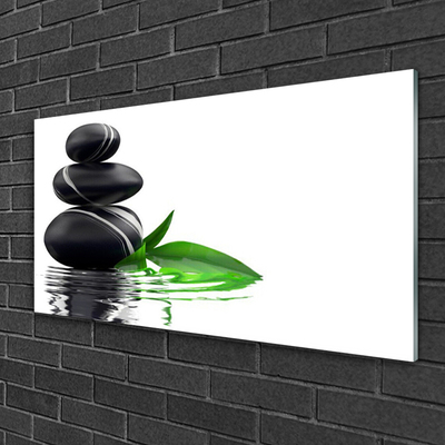 Obraz na skle Kameny Listy Voda Umění