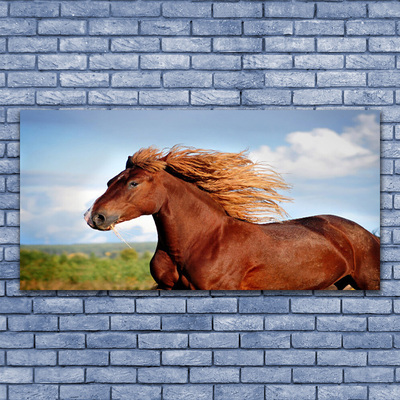 Obraz na skle Kůň Zvířata