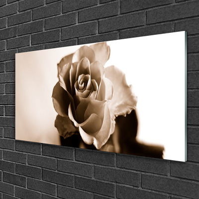 Obraz na skle Růže Květ