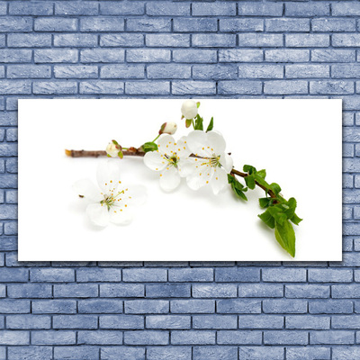 Obraz na skle Květ Větev Příroda
