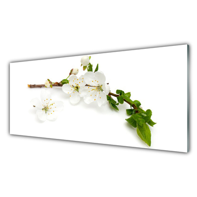 Obraz na skle Květ Větev Příroda