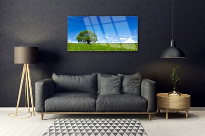Obraz na skle Tráva Strom Příroda