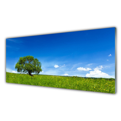 Obraz na skle Tráva Strom Příroda
