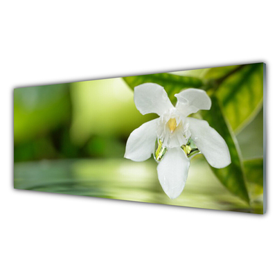 Obraz na skle Květ Listy