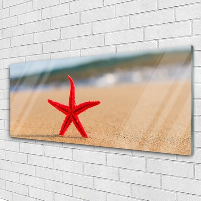 Obraz na skle Pláž Hvězdice Umění