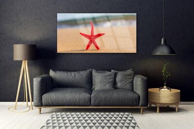 Obraz na skle Pláž Hvězdice Umění