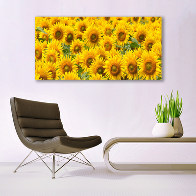Obraz na skle Slunecznice Rostlina