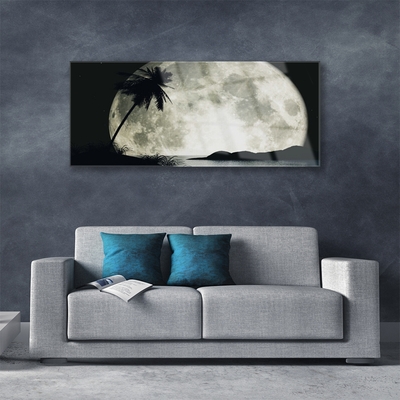 Obraz na skle Noc Měsíc Palma Krajina
