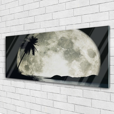 Obraz na skle Noc Měsíc Palma Krajina