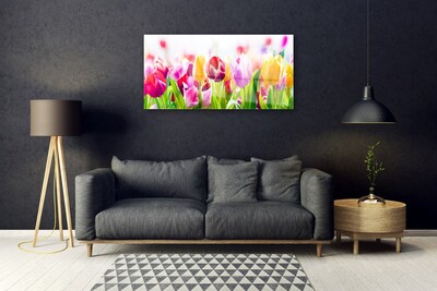 Obraz na skle Tulipány Květiny