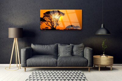 Obraz na skle Strom Slunce Příroda