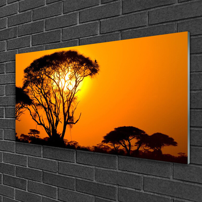 Obraz na skle Strom Slunce Příroda