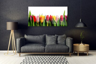 Obraz na skle Tulipány Rostlina