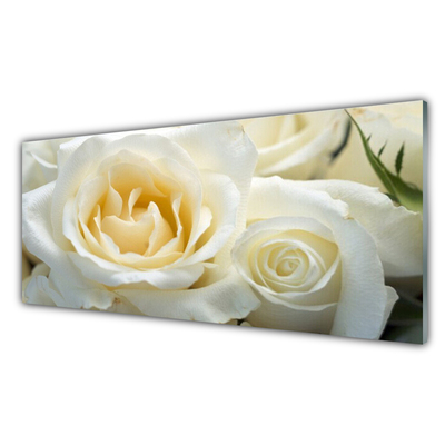 Obraz na skle Růže Květiny