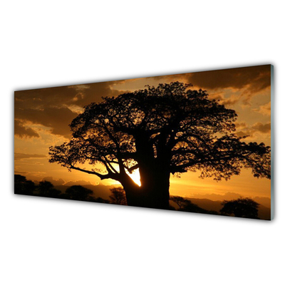 Obraz na skle Strom Příroda
