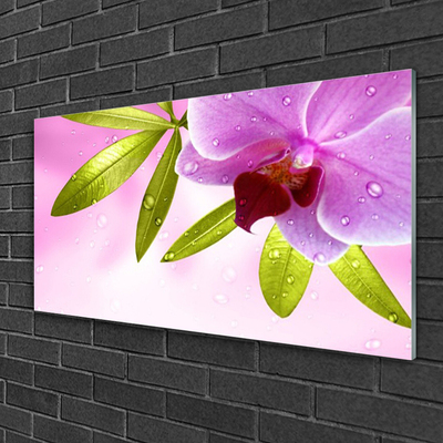 Obraz na skle Květ Listy Rostlina