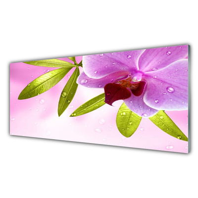 Obraz na skle Květ Listy Rostlina