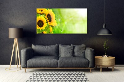 Obraz na skle Slunečníce Rostlina