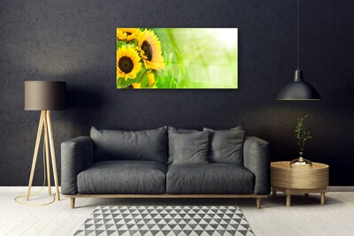 Obraz na skle Slunečníce Rostlina