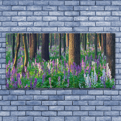 Obraz na skle Les Květiny Příroda