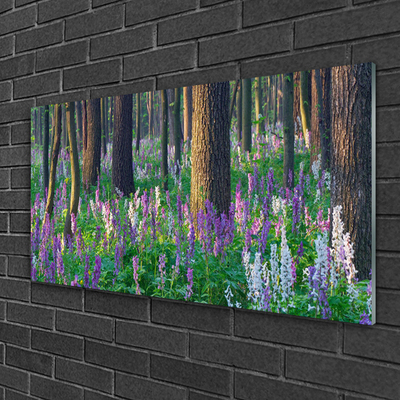 Obraz na skle Les Květiny Příroda