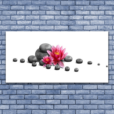 Obraz na skle Květ Kameny Umění