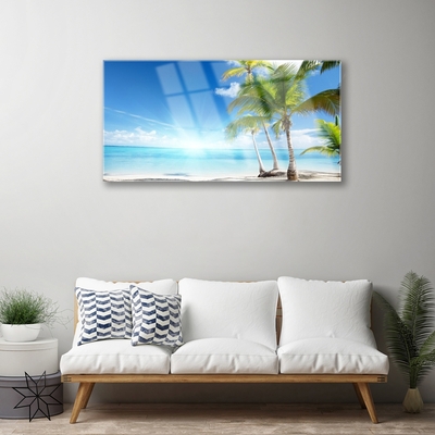 Obraz na skle Palma Strom Moře Krajina