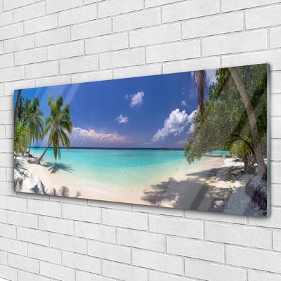 Obraz na skle Moře Pláž Palma Krajina